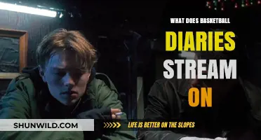 Where to Stream The Basketball Diaries