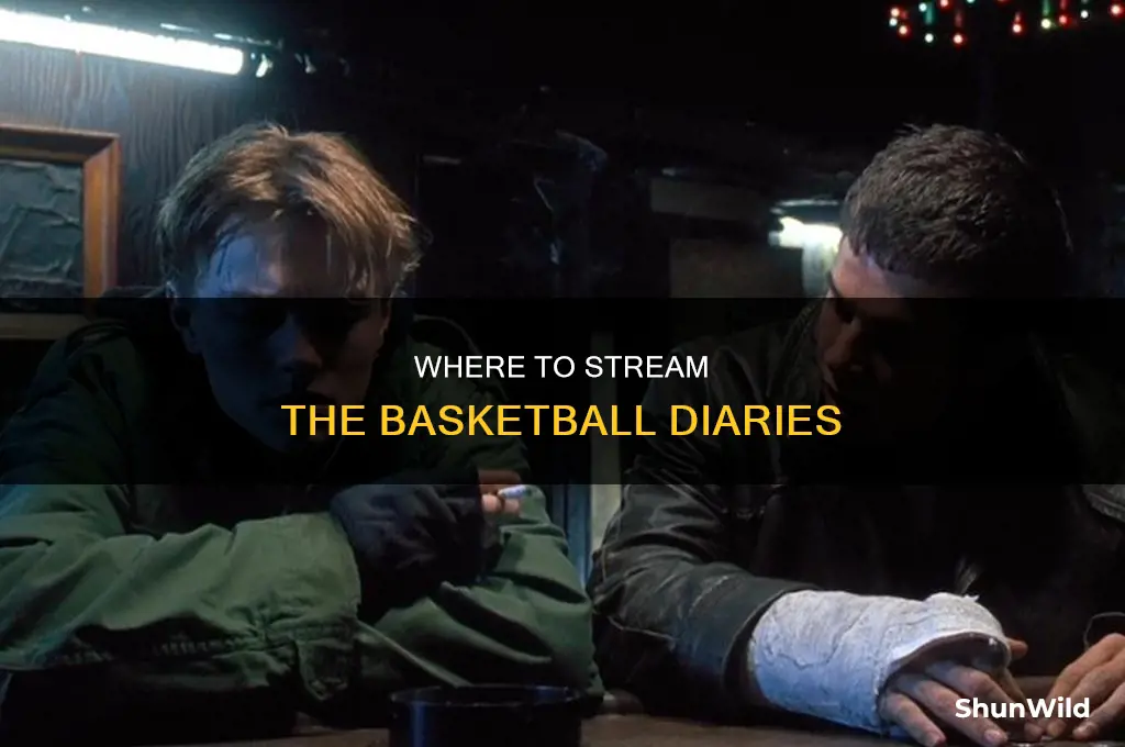 what does basketball diaries stream on