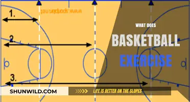 Basketball Workouts: Full-Body Fitness Secrets