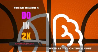 Basketball IQ: The Key to Unlocking 2K Success