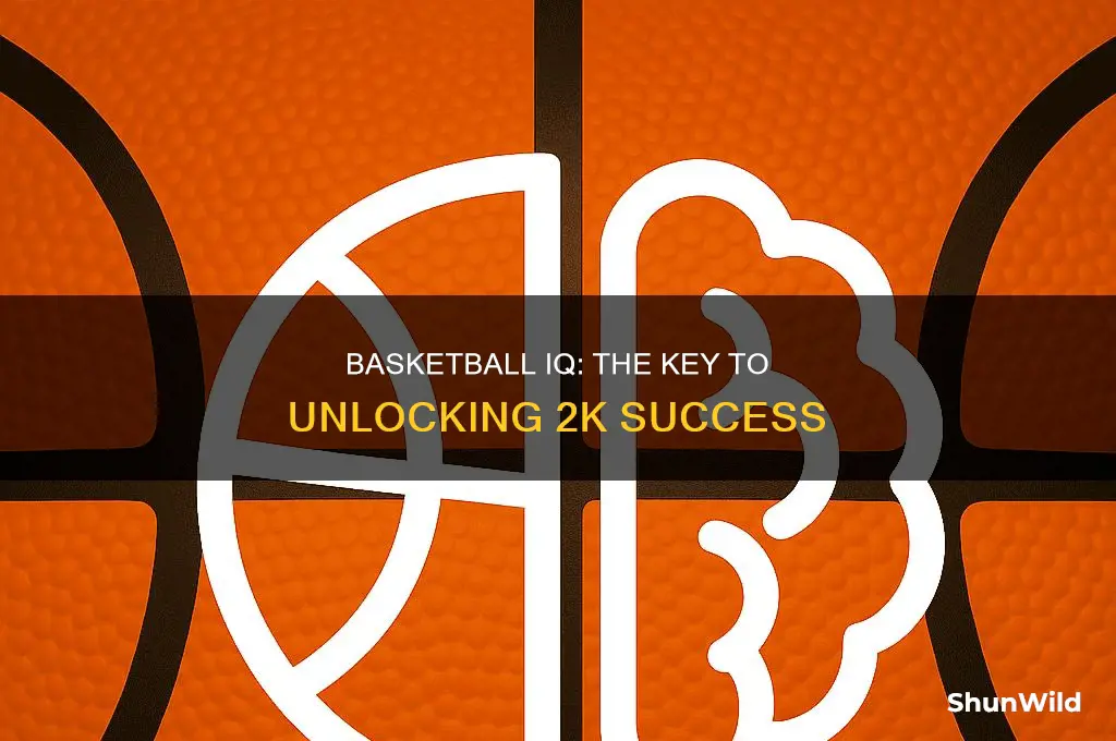 what does basketball iq do in 2k