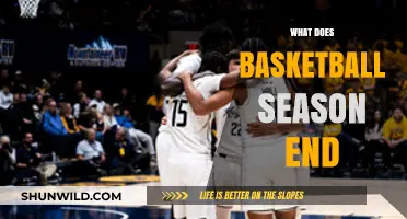 The Basketball Season: A Wrap-Up