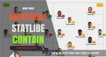 Basketball Statline: A Snapshot of Player Performance