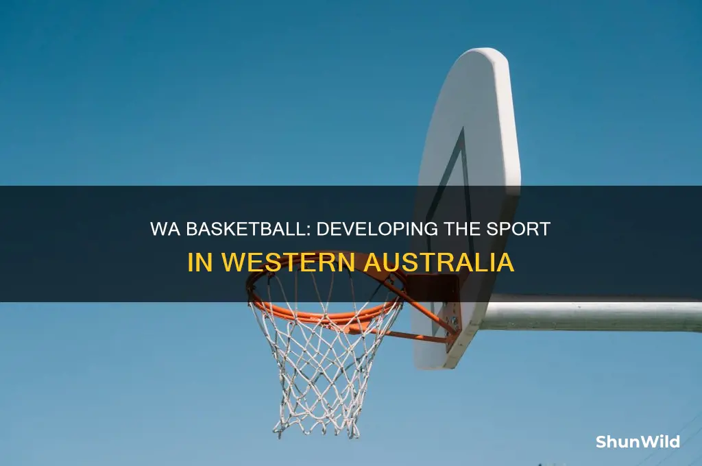 what does basketball wa do