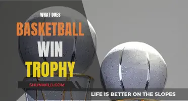 Unveiling the Basketball Champions: Trophy Triumphs and More