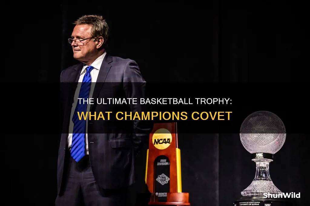 what does basketball win trophy