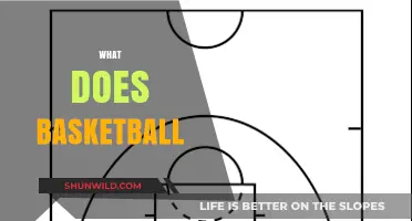 The Ultimate Guide to Basketball: Rules, Gear, and Gameplay