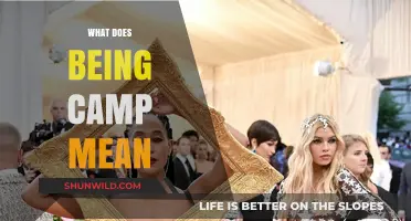 Unveiling Camp: Exploring the Bold, Extravagant, and Playful Aesthetic