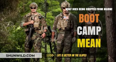 Dropped from Marine Boot Camp: Understanding the Consequences and Next Steps