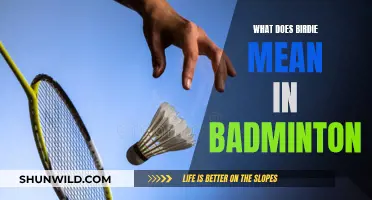 Birdie Basics: Badminton Scoring Simplified