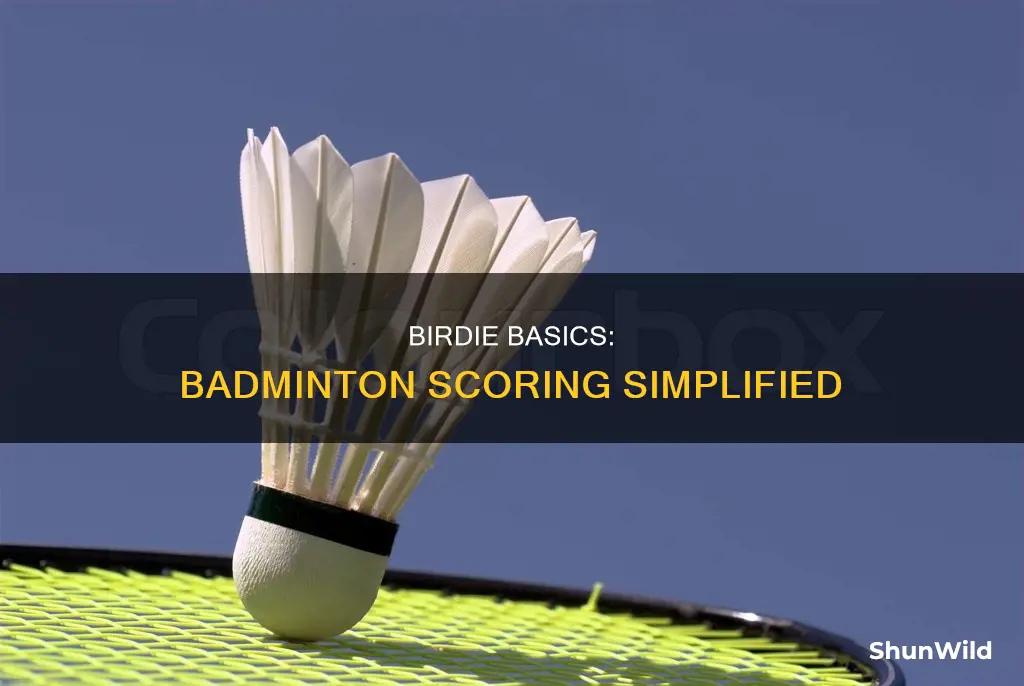 what does birdie mean in badminton