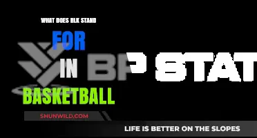 BLK in Basketball: What Does It Mean?