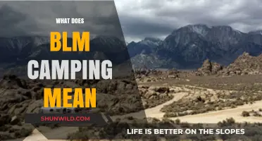 Understanding BLM Camping: Exploring Public Lands Responsibly and Safely