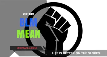 Understanding BLM: The Meaning and Impact of Black Lives Matter