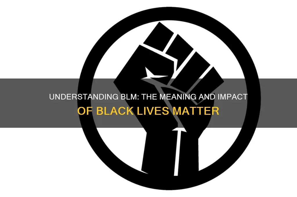 what does blm mean