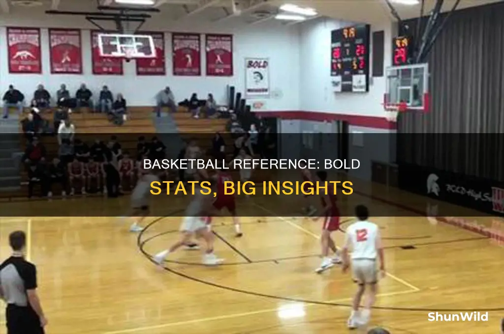 what does bold on basketball reference indiciate