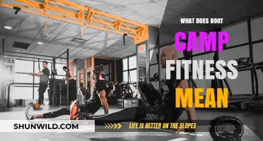 Understanding Boot Camp Fitness: High-Intensity Workouts for Total Body Transformation