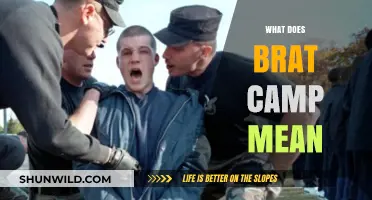 Understanding Brat Camp: Definition, Purpose, and Impact on Troubled Teens