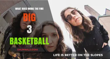 The Fire-Power Big 3: Basketball's Ultimate Trio