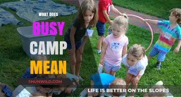 Understanding the Meaning and Impact of a Busy Camp Experience