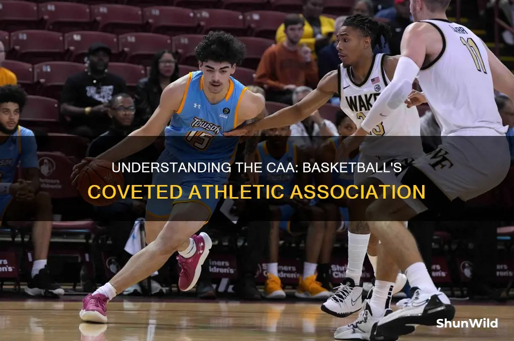 what does caa stand for basketball