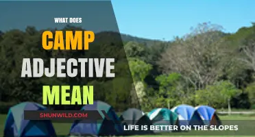 Understanding the Meaning and Usage of the Camp Adjective