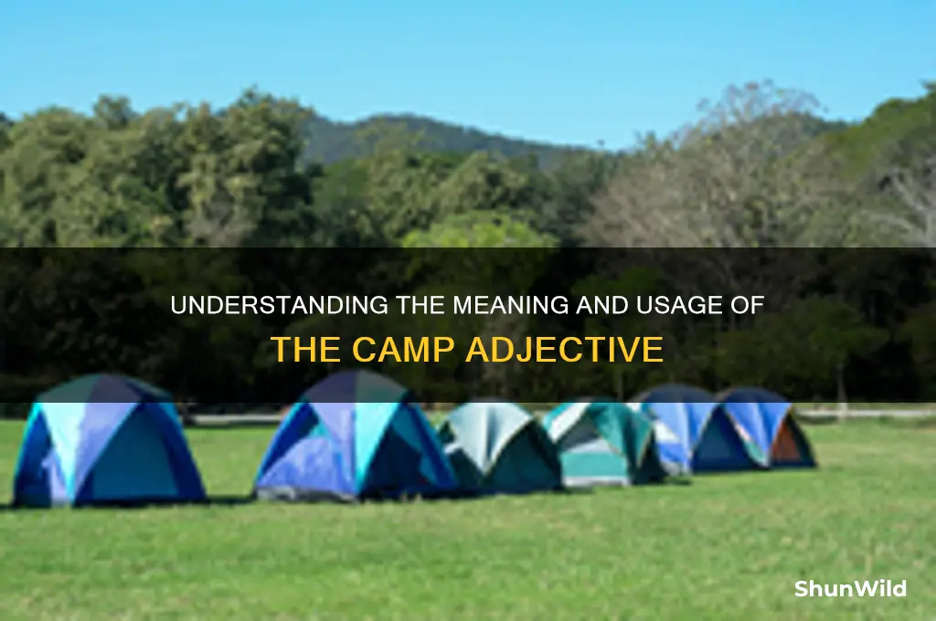 what does camp adjective mean