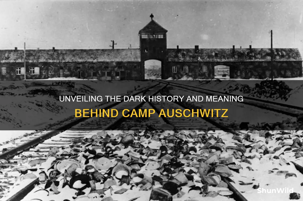 what does camp auschwitz