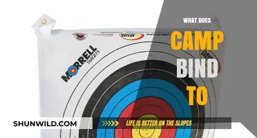 Understanding Camp Binding: Targets, Mechanisms, and Biological Significance Explained