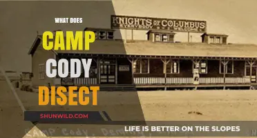 Unveiling Camp Cody's Secrets: A Deep Dive into Its History