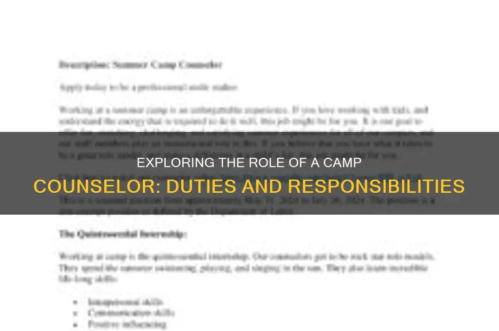 what does camp counselor do
