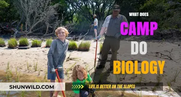 Exploring Camp's Impact on Biological Processes and Ecosystems