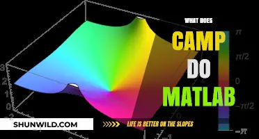 Understanding MATLAB's Camp Function: Uses, Syntax, and Practical Applications