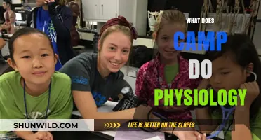 How Summer Camp Activities Impact Your Body's Physiology Explained