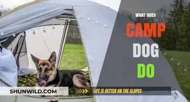 What Does a Camp Dog Do? Exploring Their Roles and Responsibilities