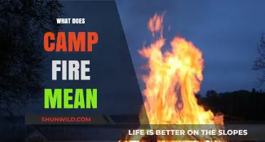 Understanding Campfire Symbolism: Meaning, History, and Cultural Significance Explained
