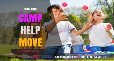 How Camp Facilitates Movement, Growth, and Personal Transformation in Life