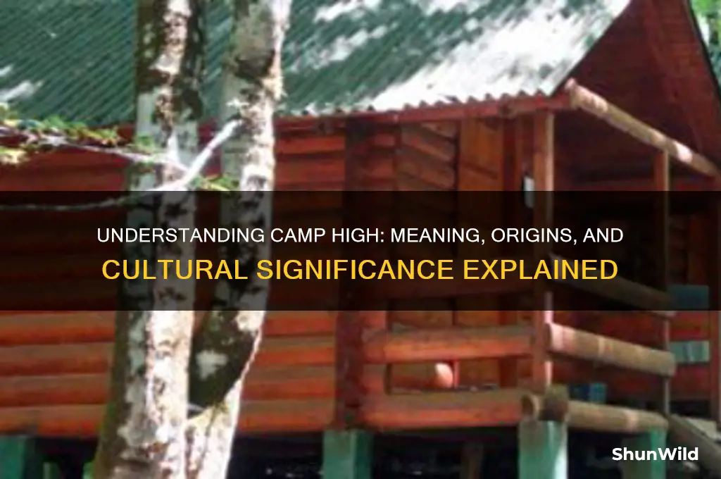 what does camp high mean