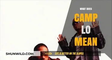 Understanding Camp Lo: Origins, Meaning, and Cultural Impact Explained