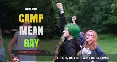 Unpacking Camp: Exploring Its Cultural Significance in LGBTQ+ Communities