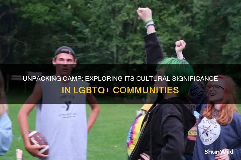 what does camp mean gay