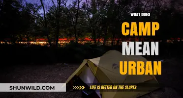 Decoding Camp: Urban Slang Meaning and Cultural Significance Explained