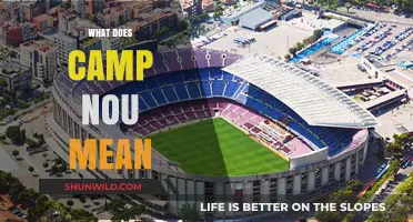 What Does Camp Nou Mean? Unveiling Barcelona's Iconic Stadium's Name