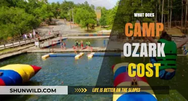 Camp Ozark Cost Breakdown: Fees, Expenses, and Budgeting Tips