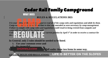 What Does Camp Regulate: Understanding Rules and Responsibilities in Outdoor Settings