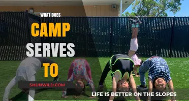 Exploring Camp's Purpose: Community, Growth, and Memorable Experiences