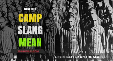 Unpacking Camp Slang: Decoding the Unique Language of Camp Culture