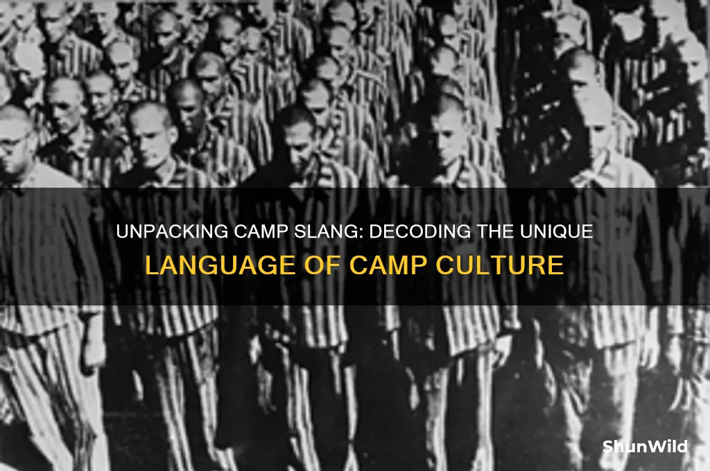 what does camp slang mean