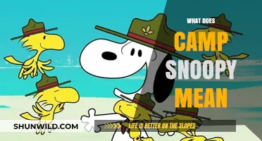 Unveiling Camp Snoopy: Exploring the Meaning Behind the Iconic Name