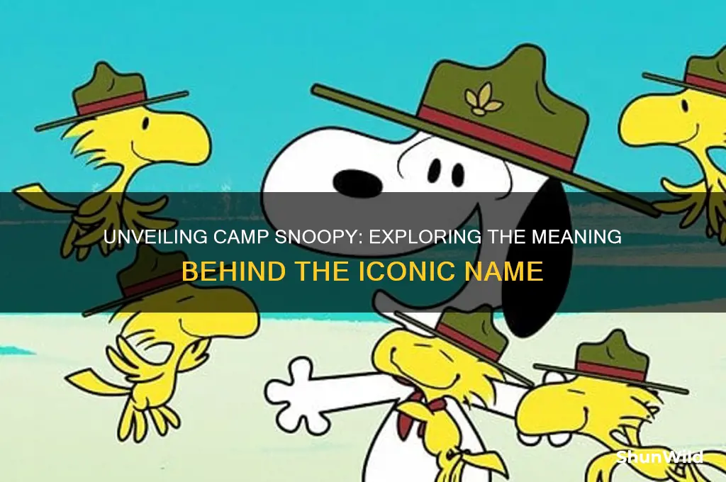 what does camp snoopy mean